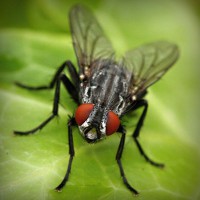 /album/bryllupskjoler/photolia-a01-jpg/
