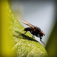 /album/bryllupskjoler/photolia-a04-jpg/