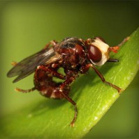 /album/bryllupskjoler/photolia-a06-jpg/