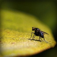 /album/bryllupskjoler/photolia-a07-jpg/